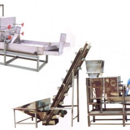 安丘市達(dá)安花生機械廠 花生食品加工機械長期供應(yīng)與專業(yè)安裝服務(wù)